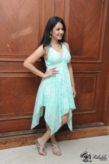 Nisha Kothari at Chusinodiki Chusinantha Movie Audio Launch